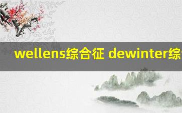 wellens综合征 dewinter综合征